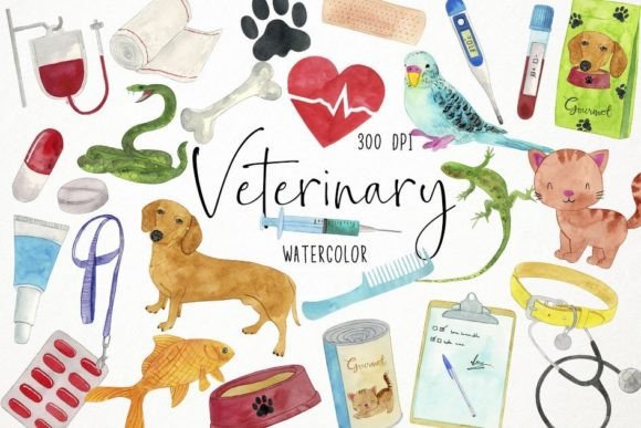 Download Watercolor Veterinary Clipart, Vet - Vet Collection