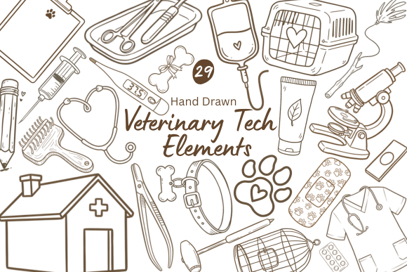 Download 29 Hand Drawn Vet Tech Elements - Vet Collection